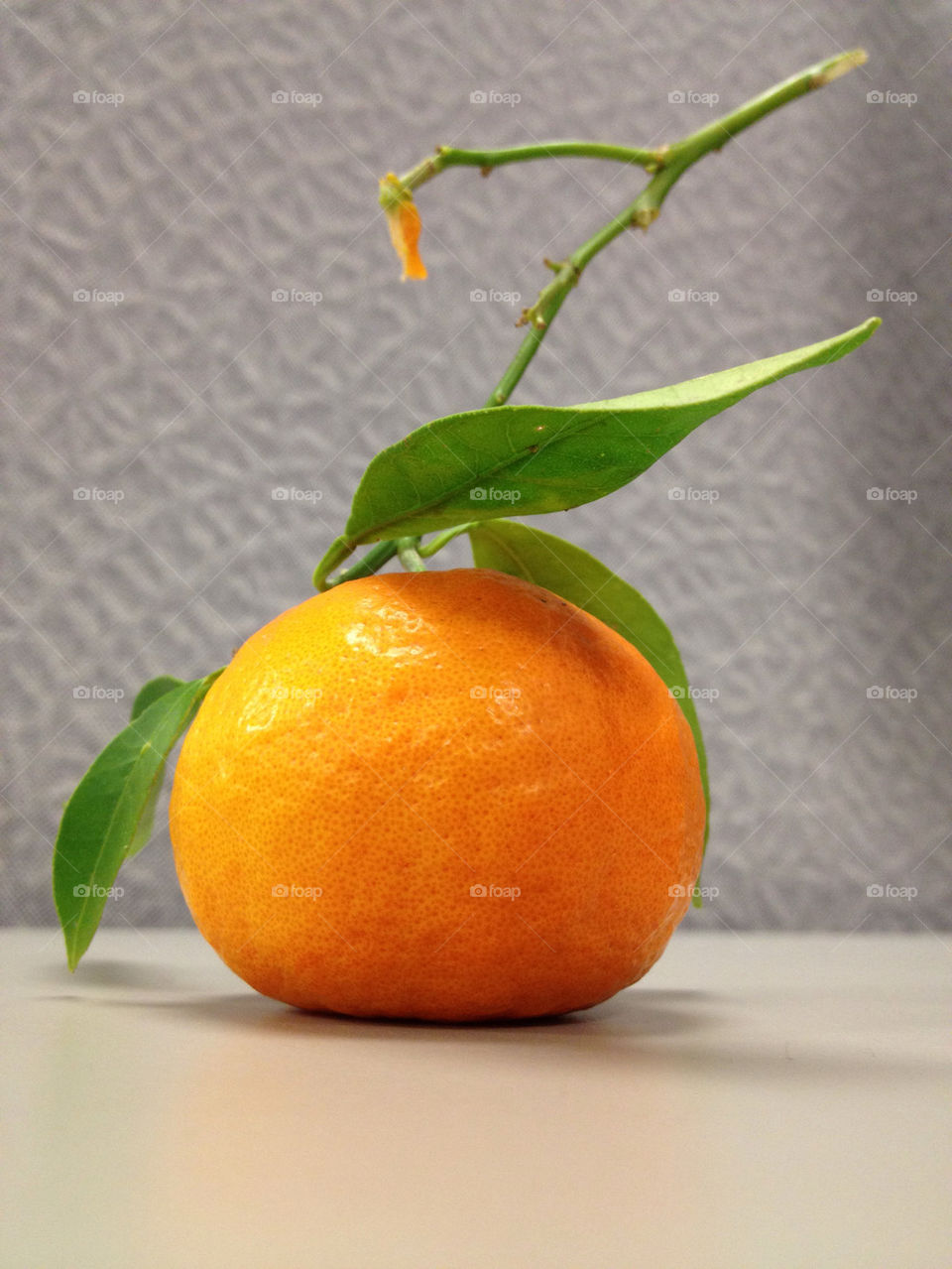 orange sweet fruit citrus by suneilar