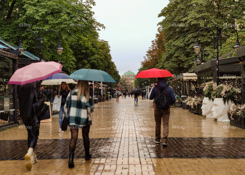 Rainy day in the city