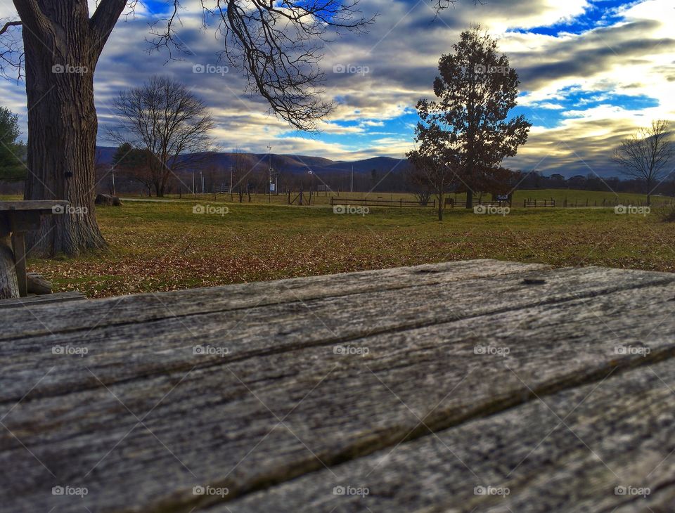 A picnic in autumn