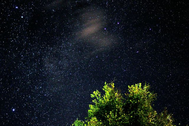 starry night
