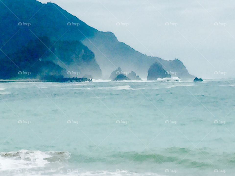 Shikoku island turtle reserve