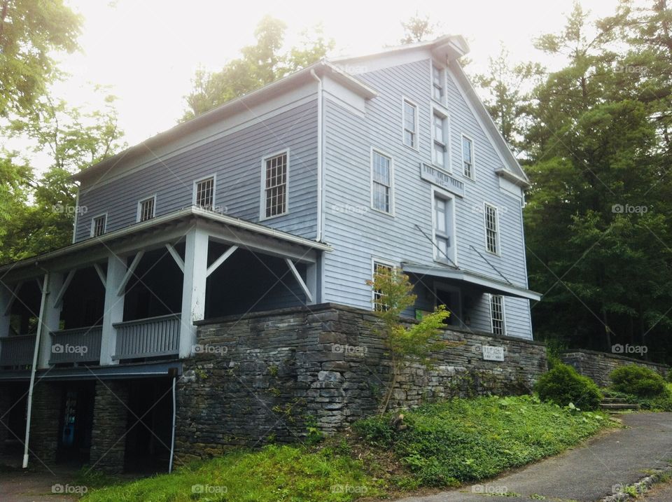 Robert Treman State Park 