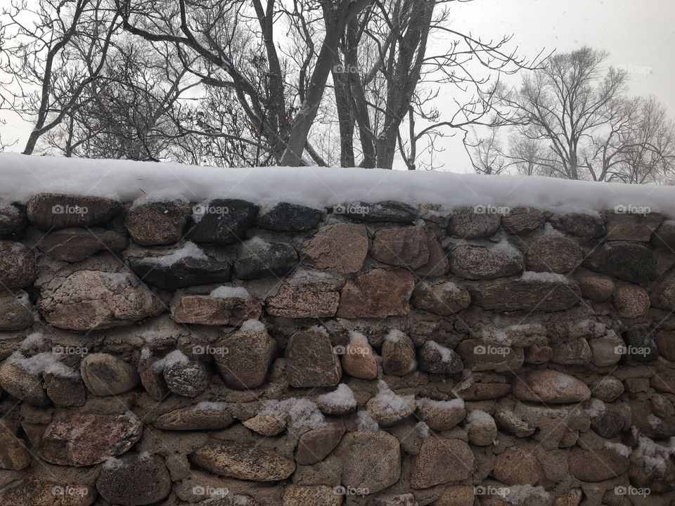 Snow on Fence