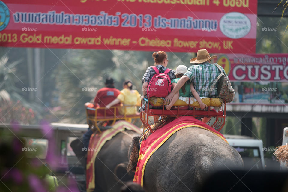 People, Man, Cavalry, Festival, Seated