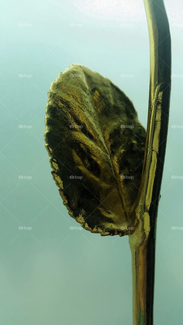 golden leaf. art of preservation