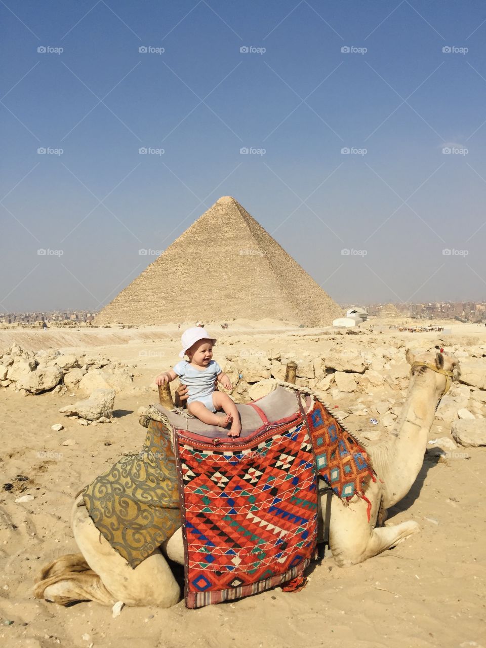 Baby sit on camel 