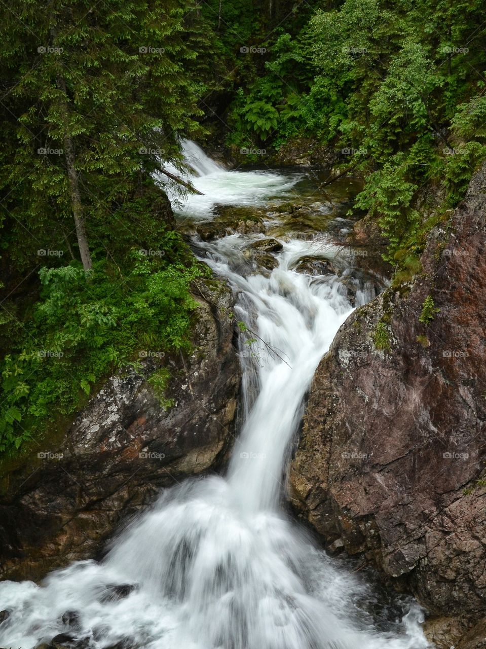 Waterfall flowing through rock in forest