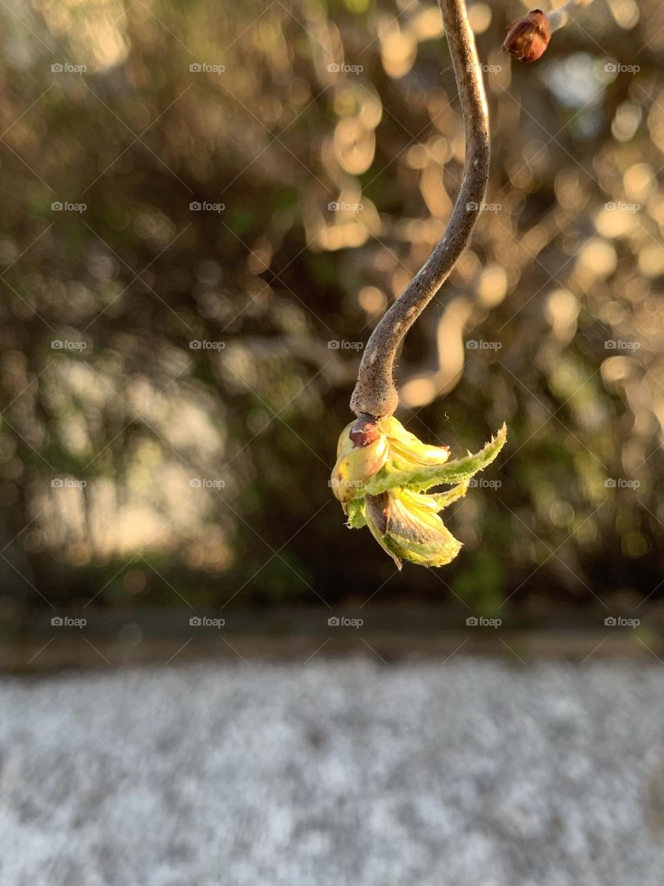 Spring is in the air