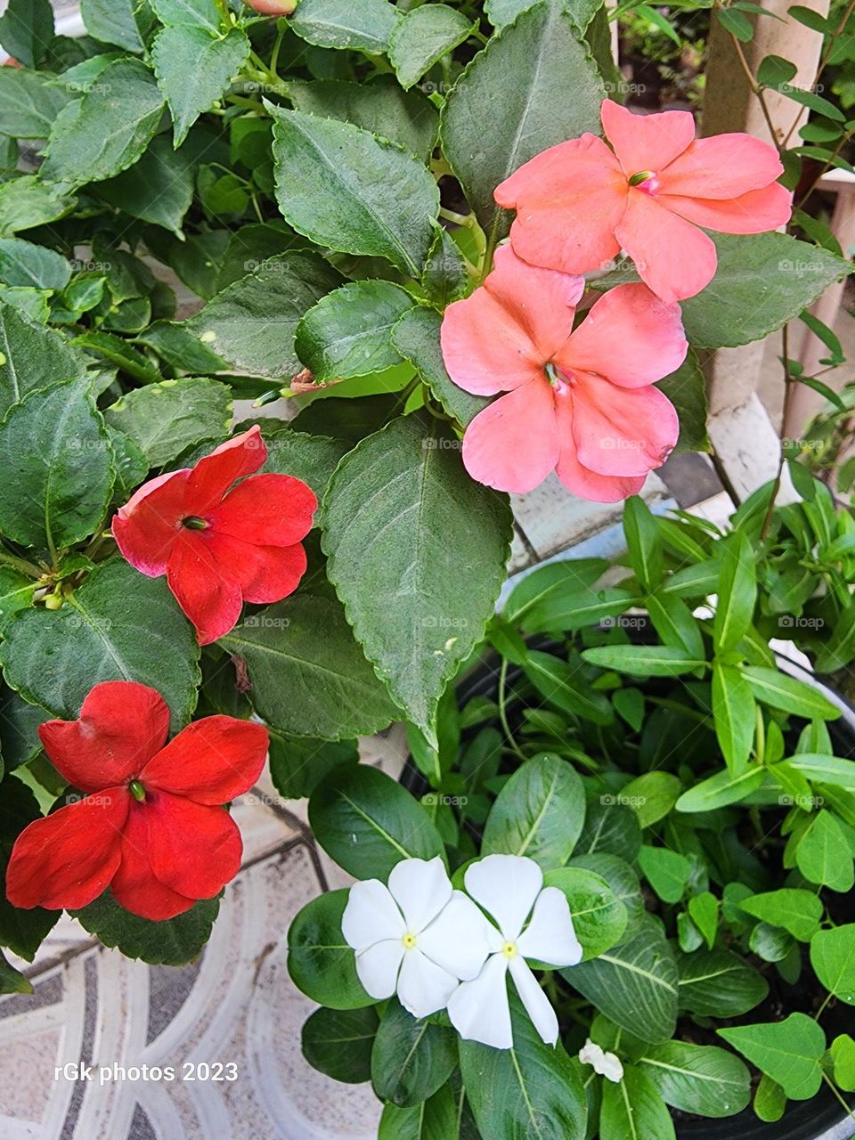 three colors of impatience