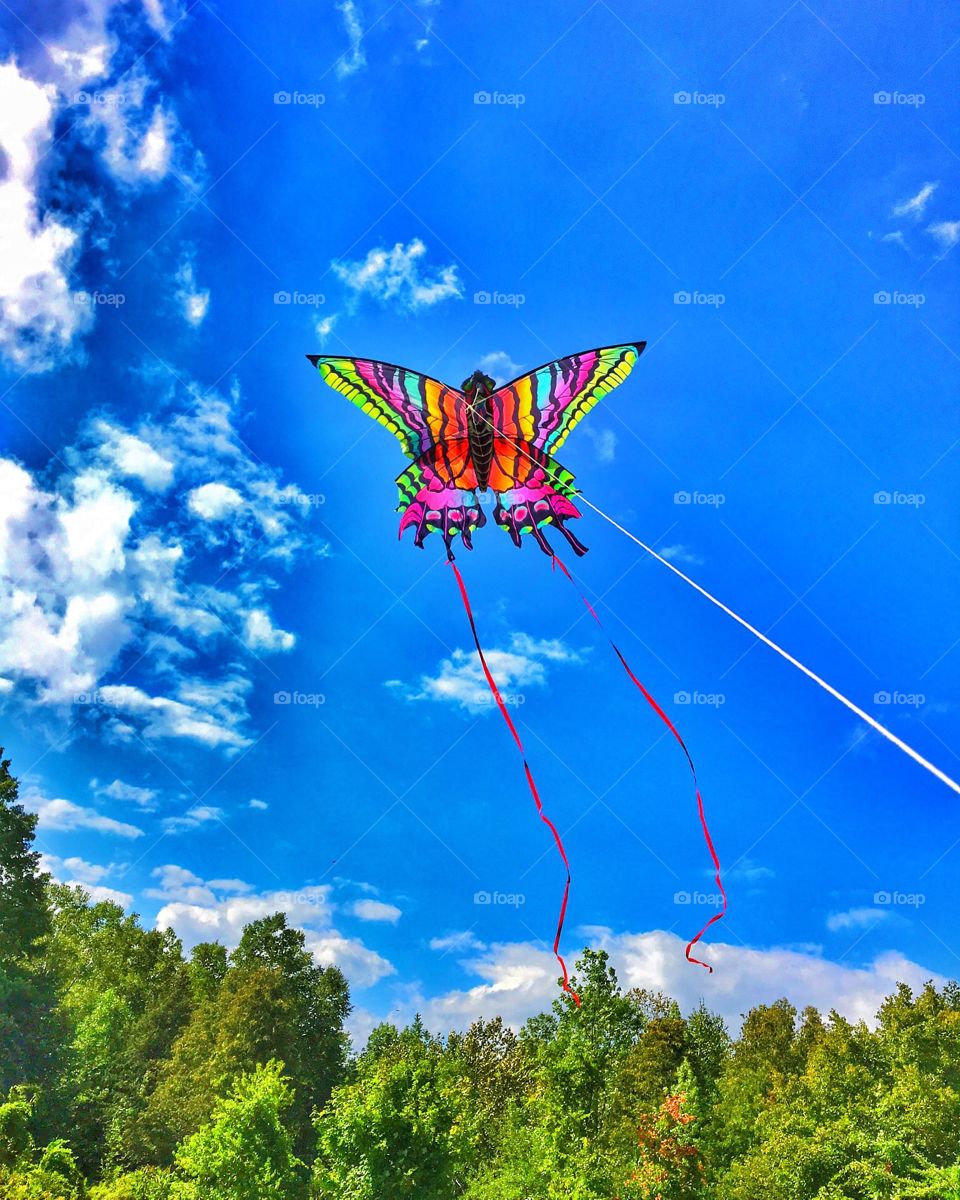 Fling my beautiful kite 