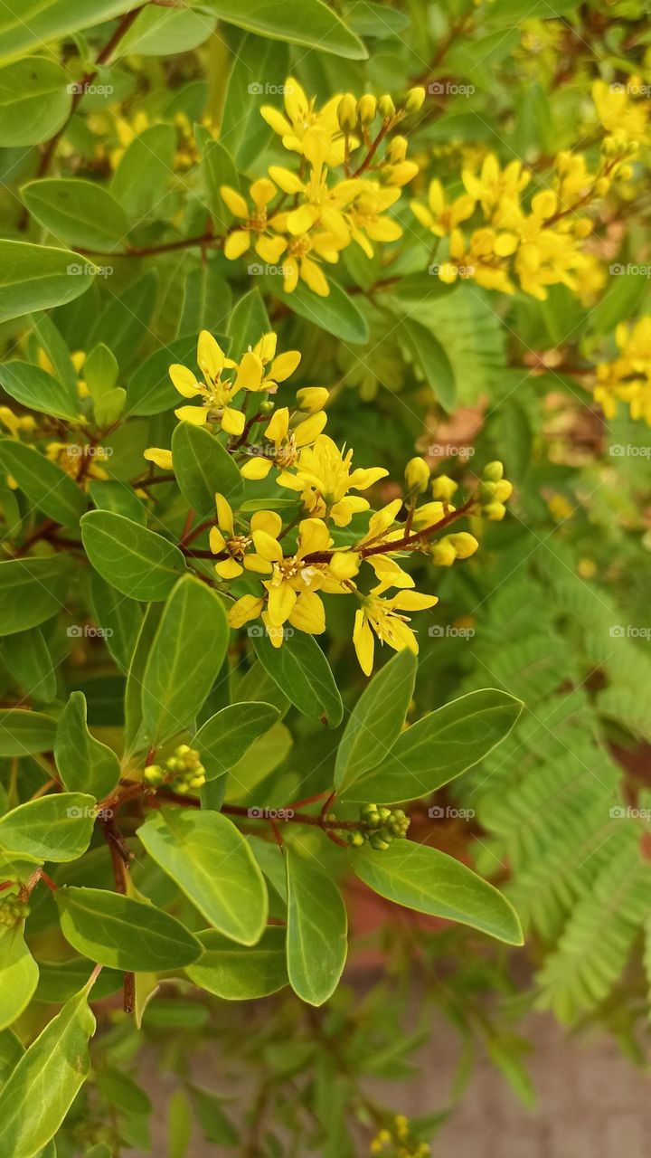 bright colours with a bright future in the right way, spring came with beautiful young colors.