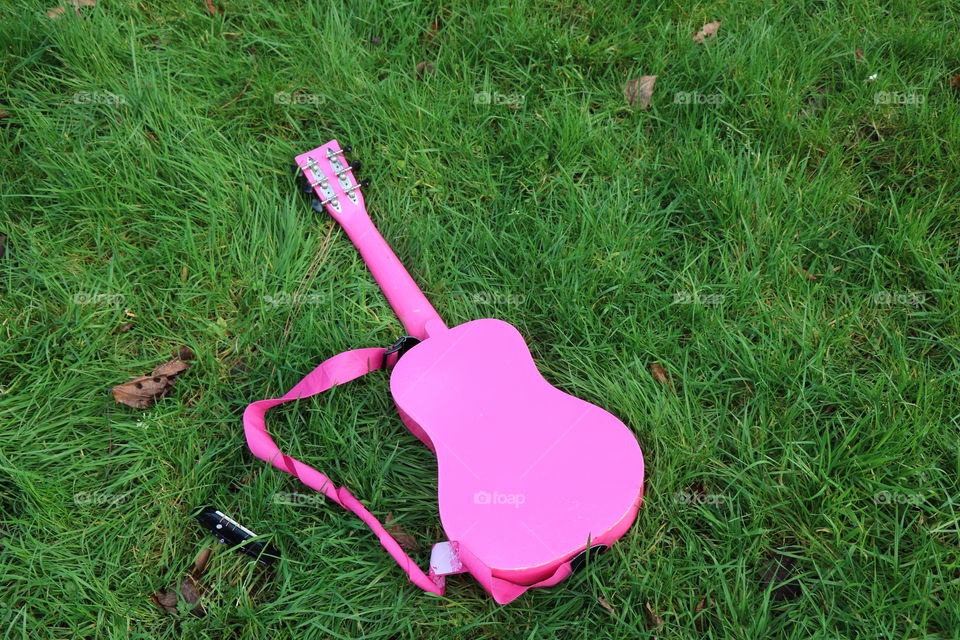 Pink guitar on a green grass