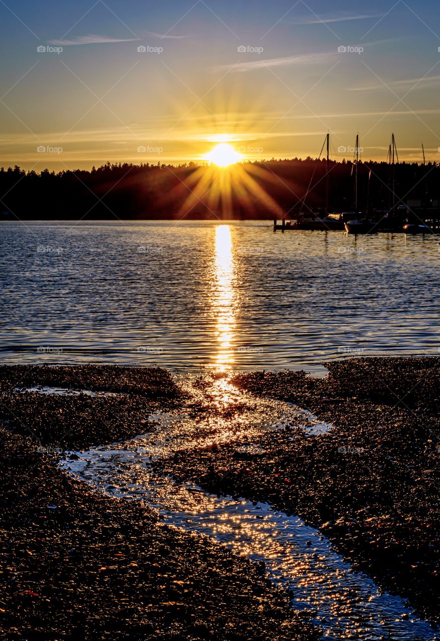 Sunset shines on Pacific Ocean and a winding water stream on the beach - sailboats and trees in distance