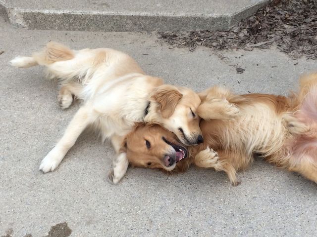 Father and son