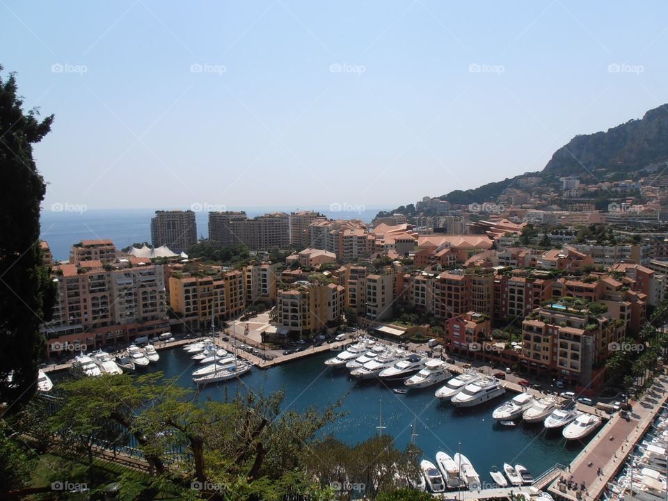Harbor from Monaco