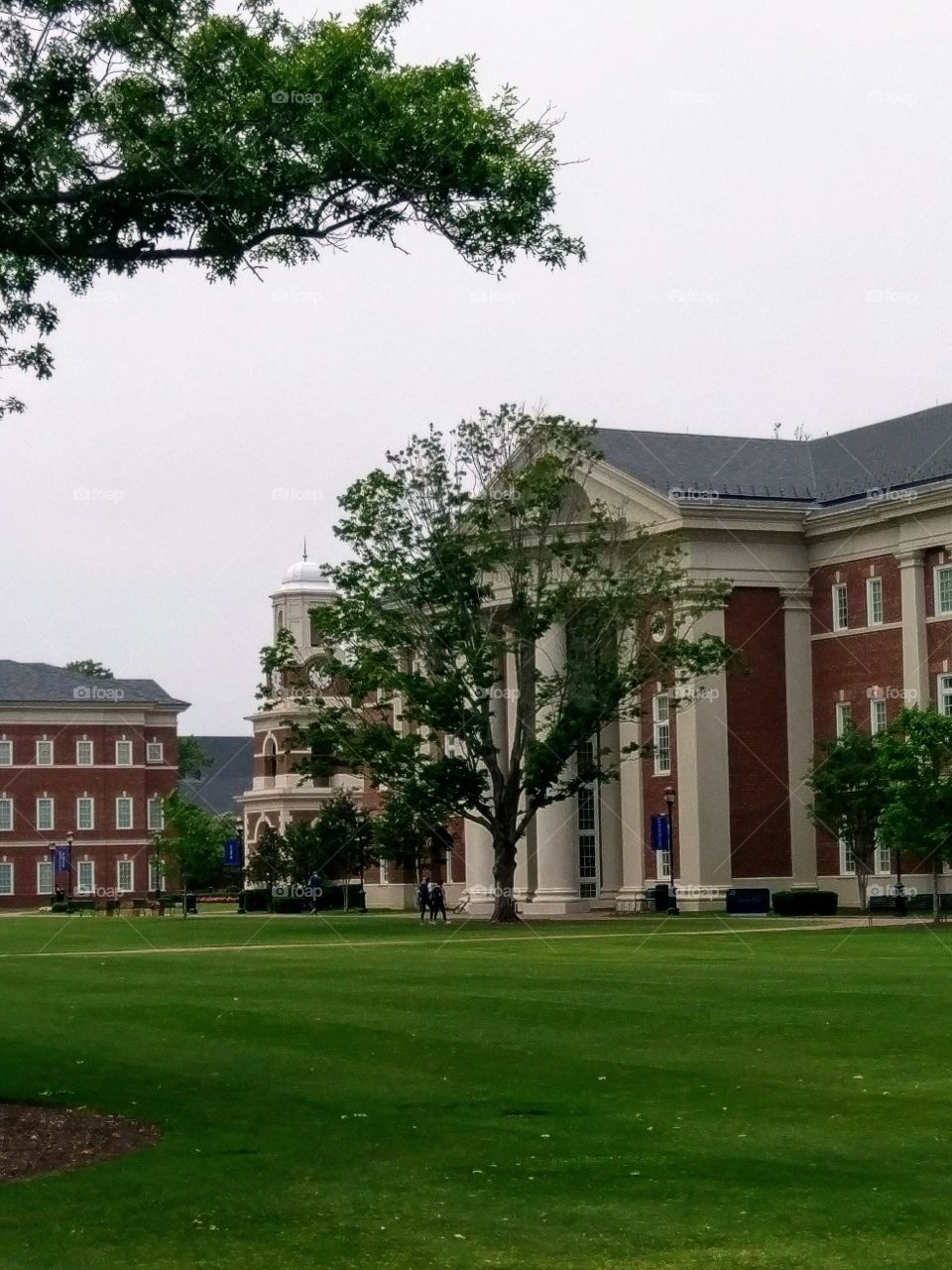 CNU quad