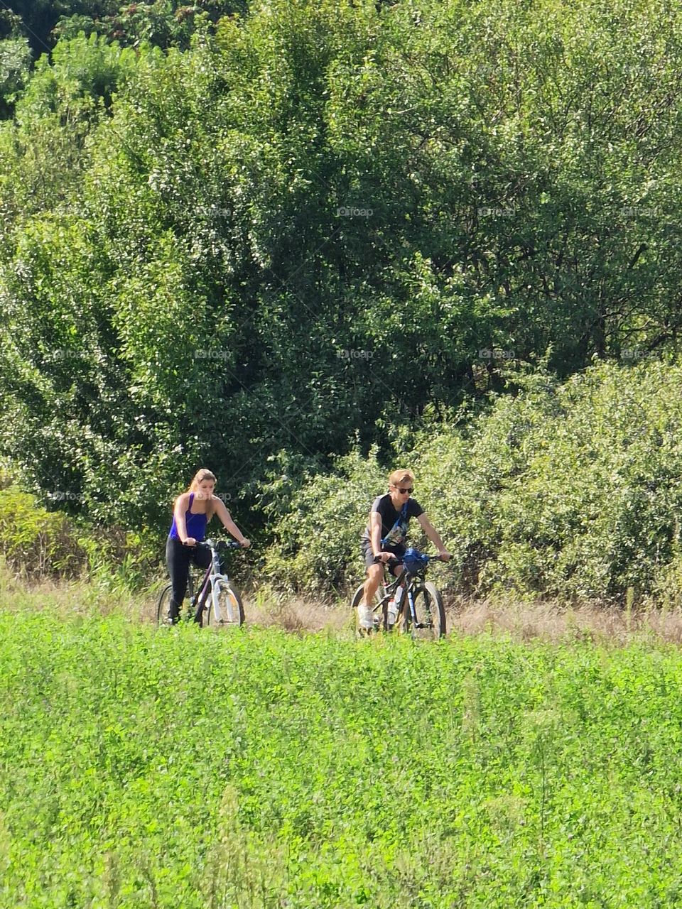 cycling in nature