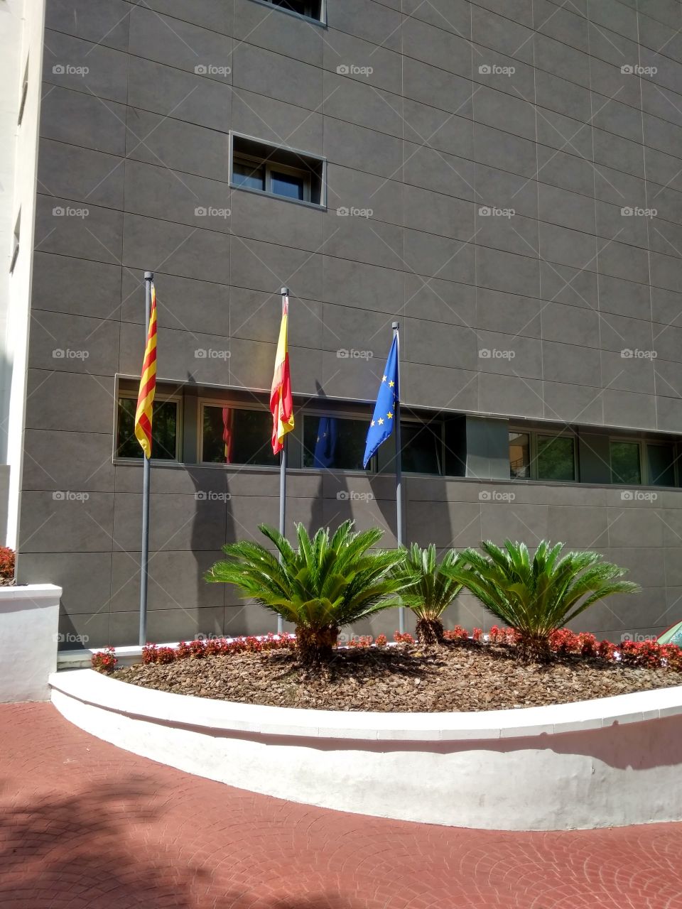 Flags Spanish