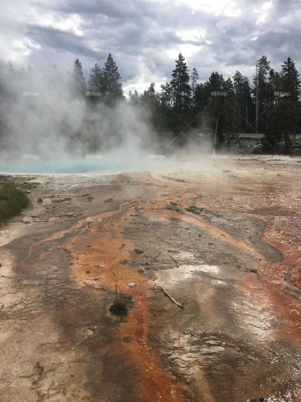 Yellowstone Hot Springs and Red Clay