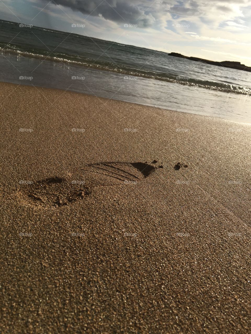 Footprint on the Beach