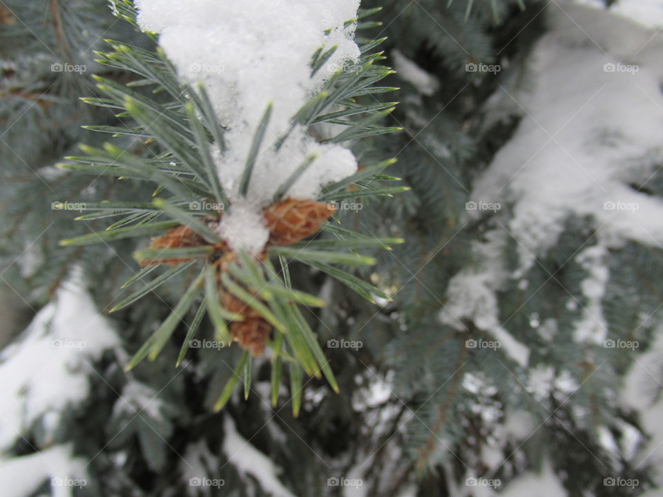 a lot of snow in winter in Russia