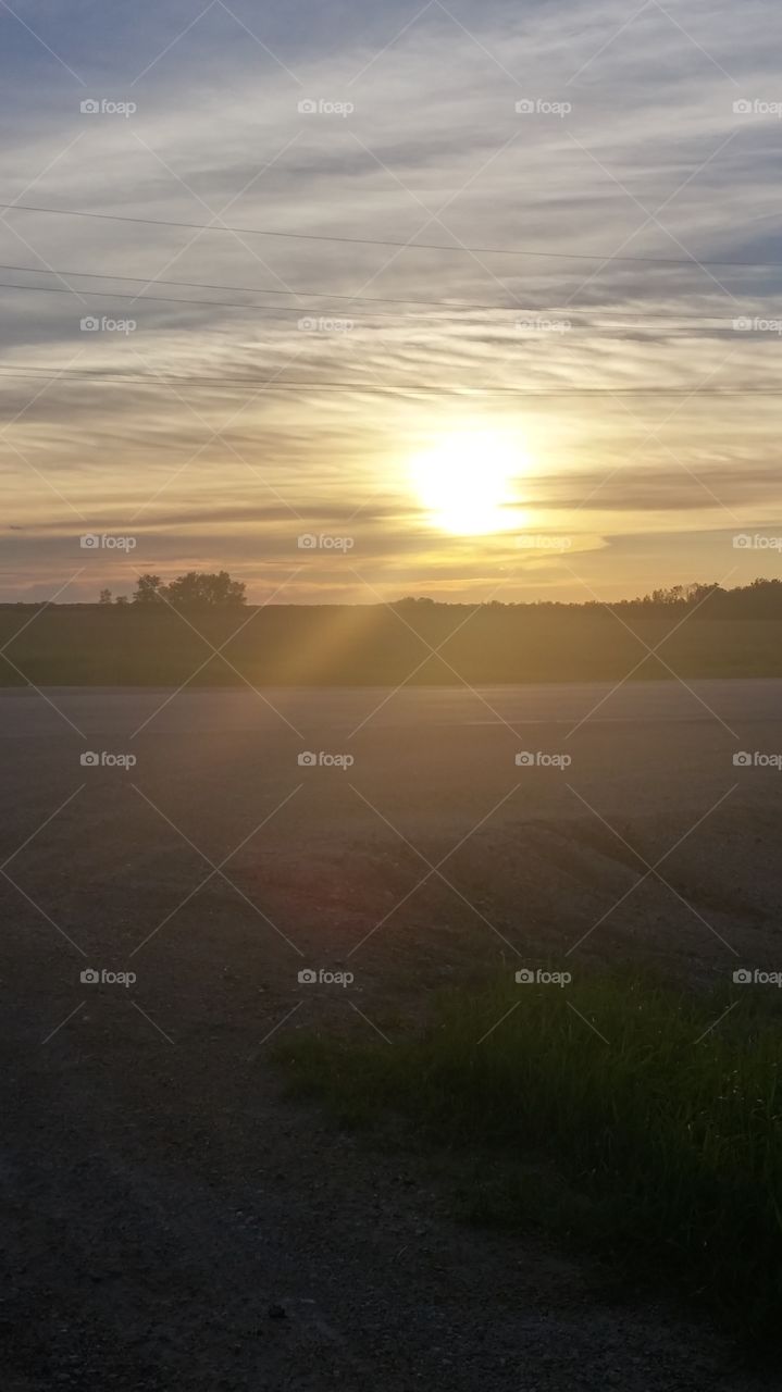 sunset field