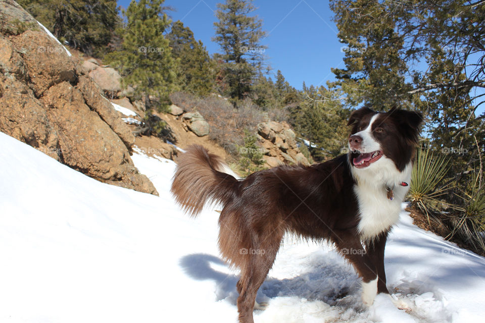 Oh I’m sorry did you say something? I was too busy running through the mountains 