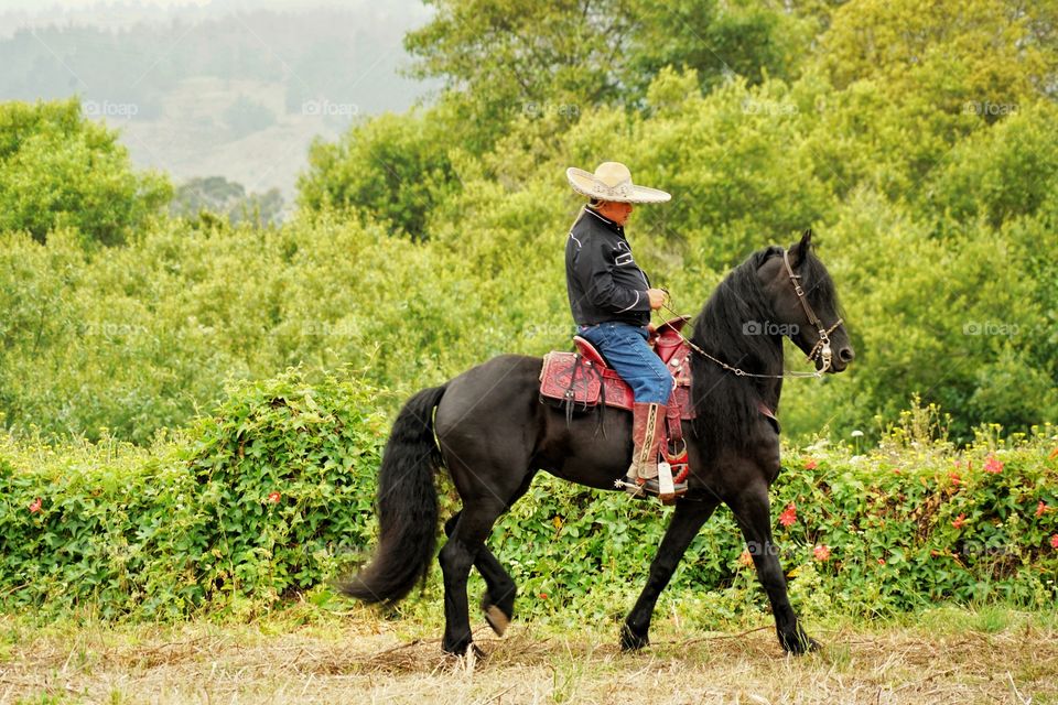 Mexican Cowboy Riding A Black Horse