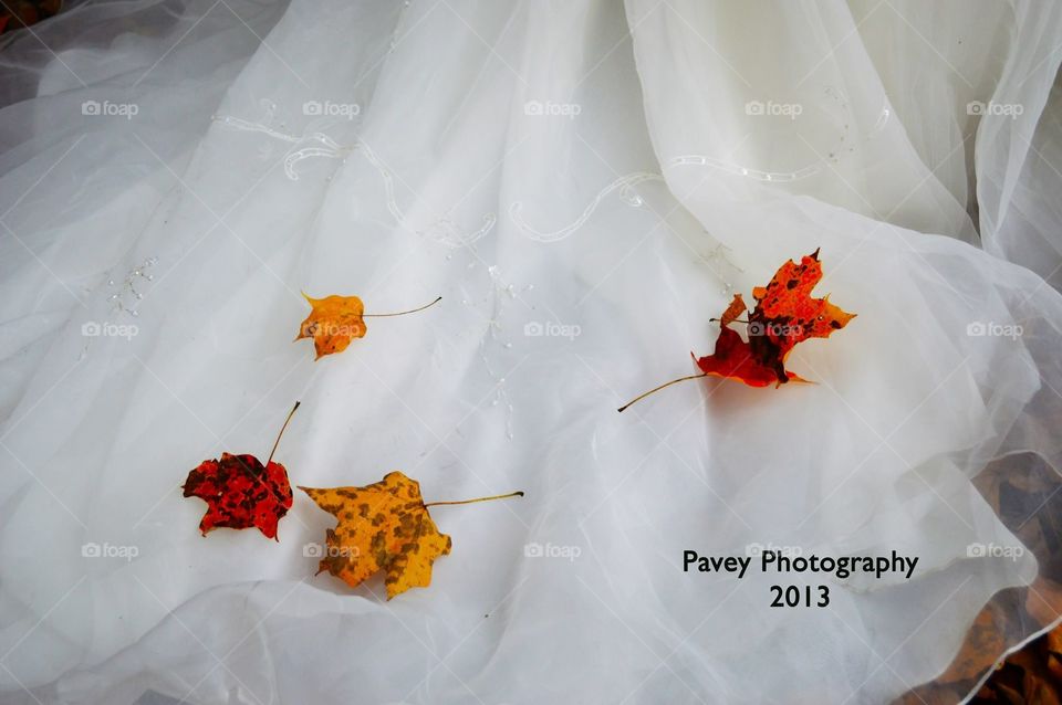 Images from a fall wedding