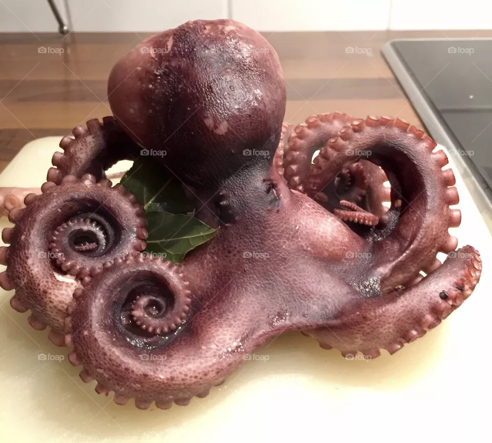 Octopus right after cooking on a plate