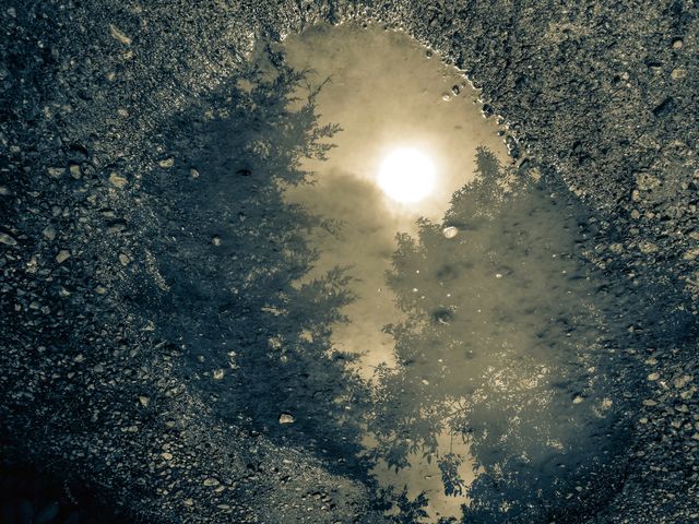 Reflection of the moon and trees in a puddle in the road