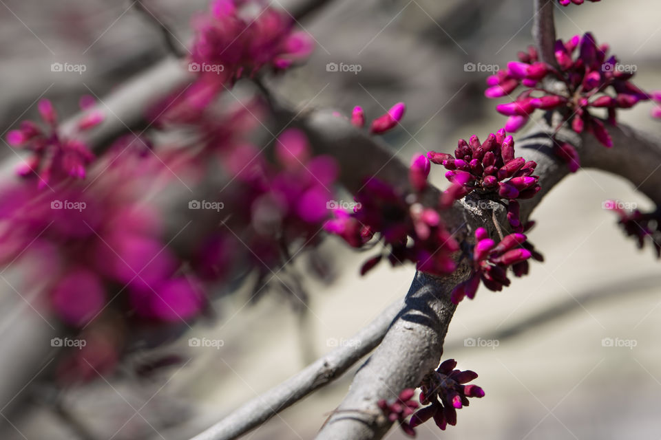 Springing into March 