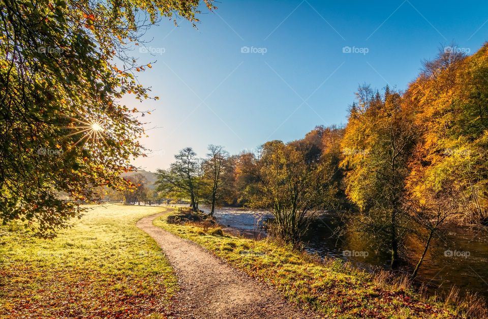 A beautiful photo with a path, a water stream and very pretty trees crossed by a beautiful ray of the sun. Photo with a very beautiful brightness.