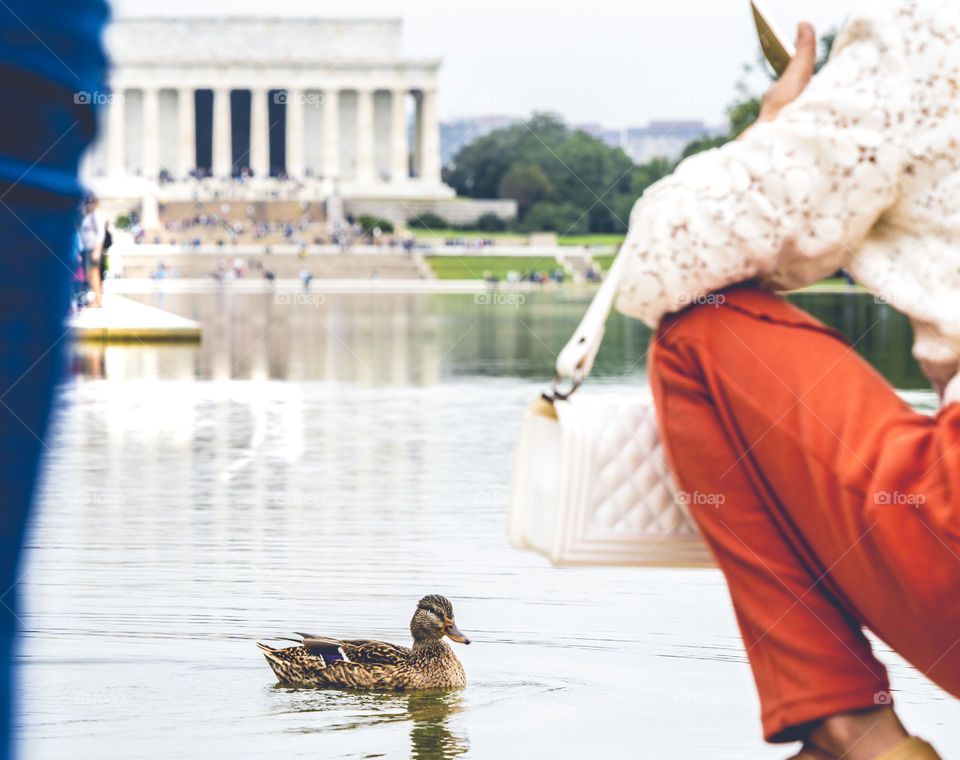 People take photos in DC 