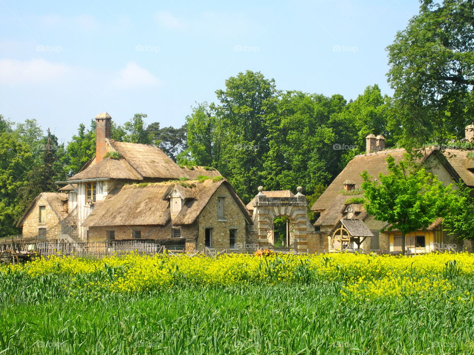 House, No Person, Architecture, Building, Summer