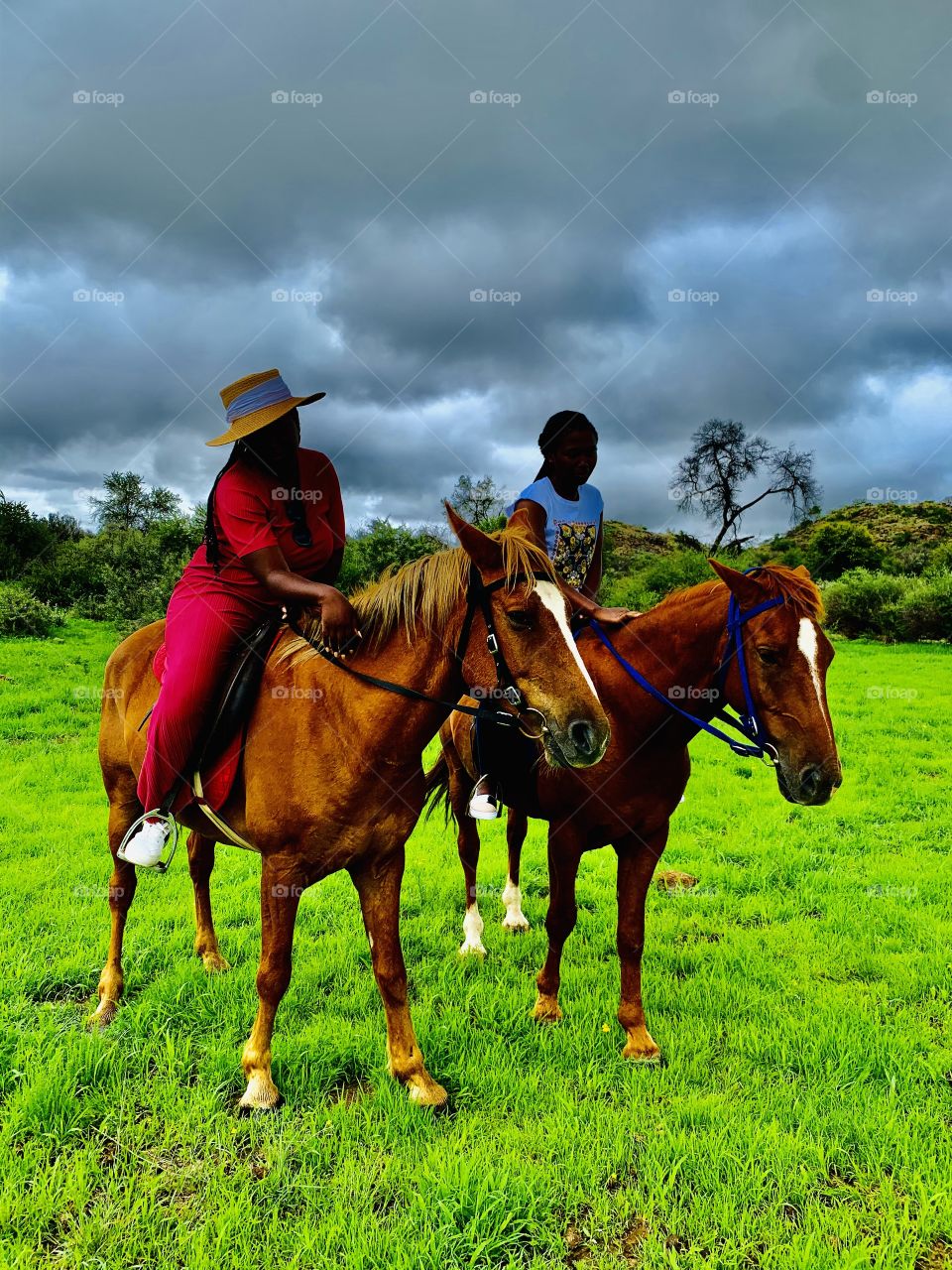 Twinning horses on a cloudy morning. Let’s go around the farm and see how things are going.