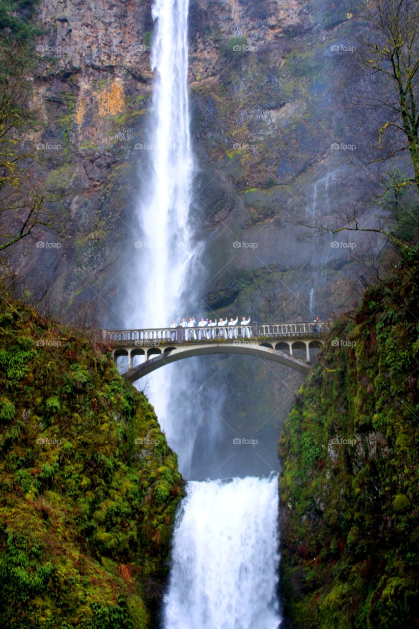 Multnomah falls bridge