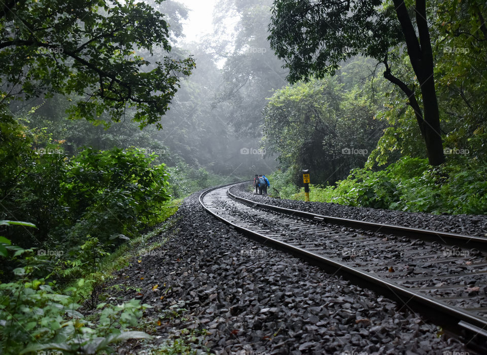 railway track in the forest