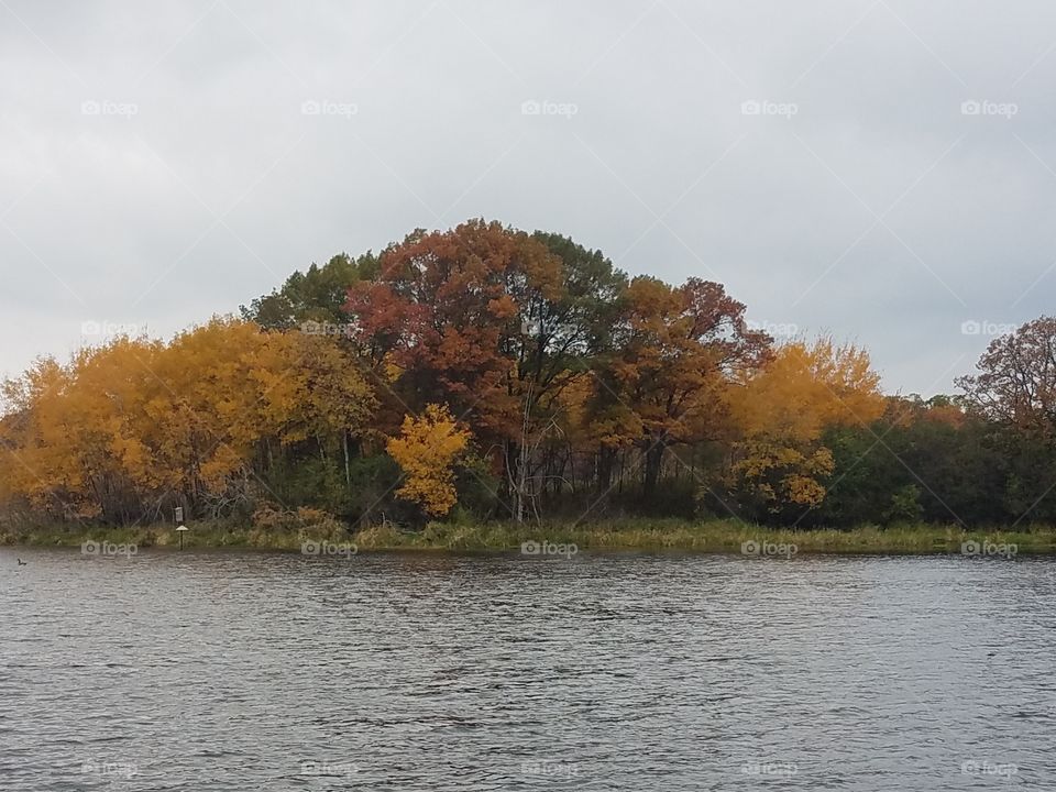 Tree, Lake, Landscape, Water, Fall