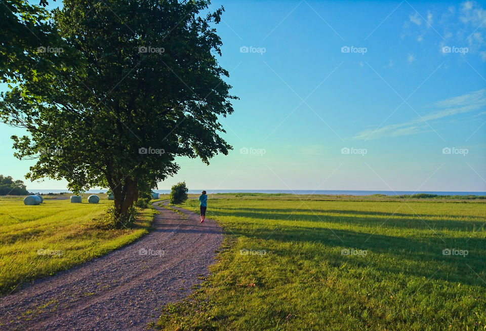 summer evening by the Baltic Sea, Saaremaa island