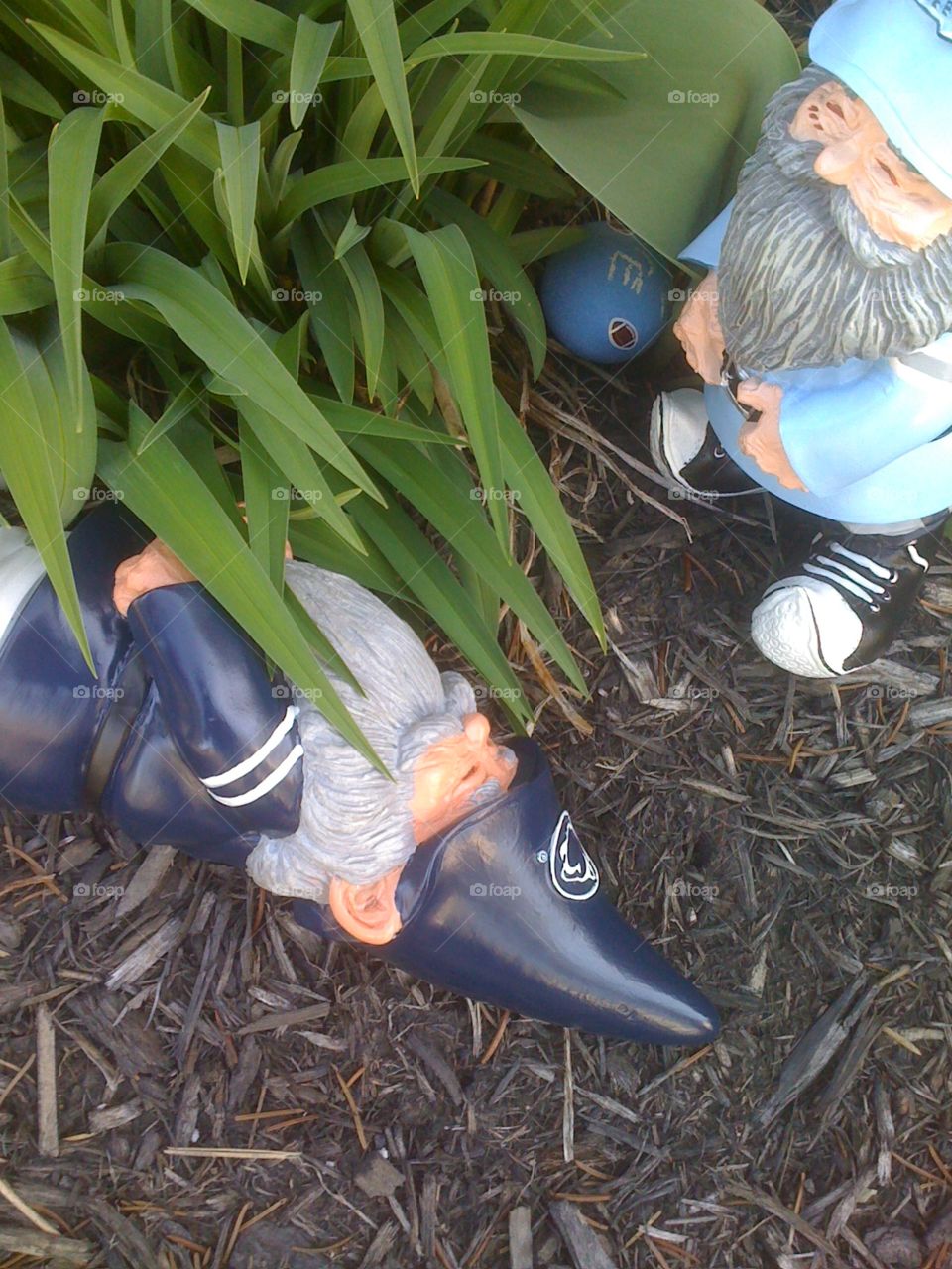 Garden gnomes on an Easter egg hunt 