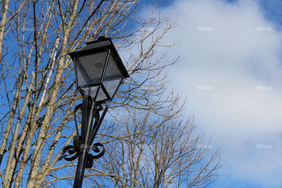 public street lamp with trees and blue sky