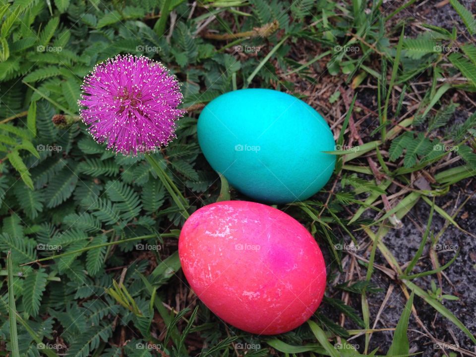 Colored eggs and wildflowers.