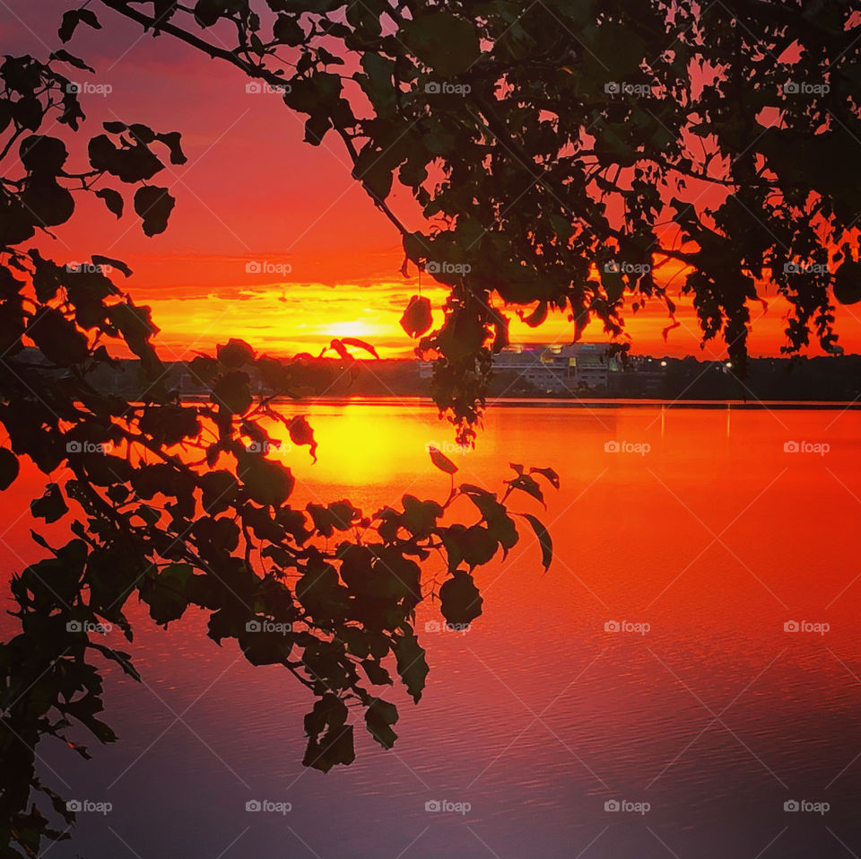 Sunset, Wakefield Lake, Massachusetts 