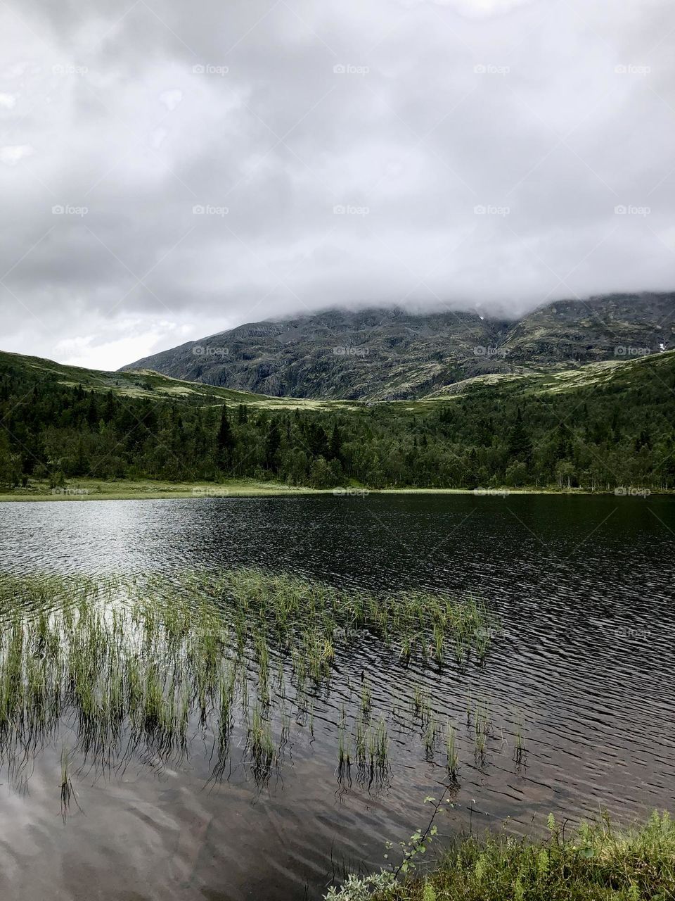 Lake in front of cloudy mountain 