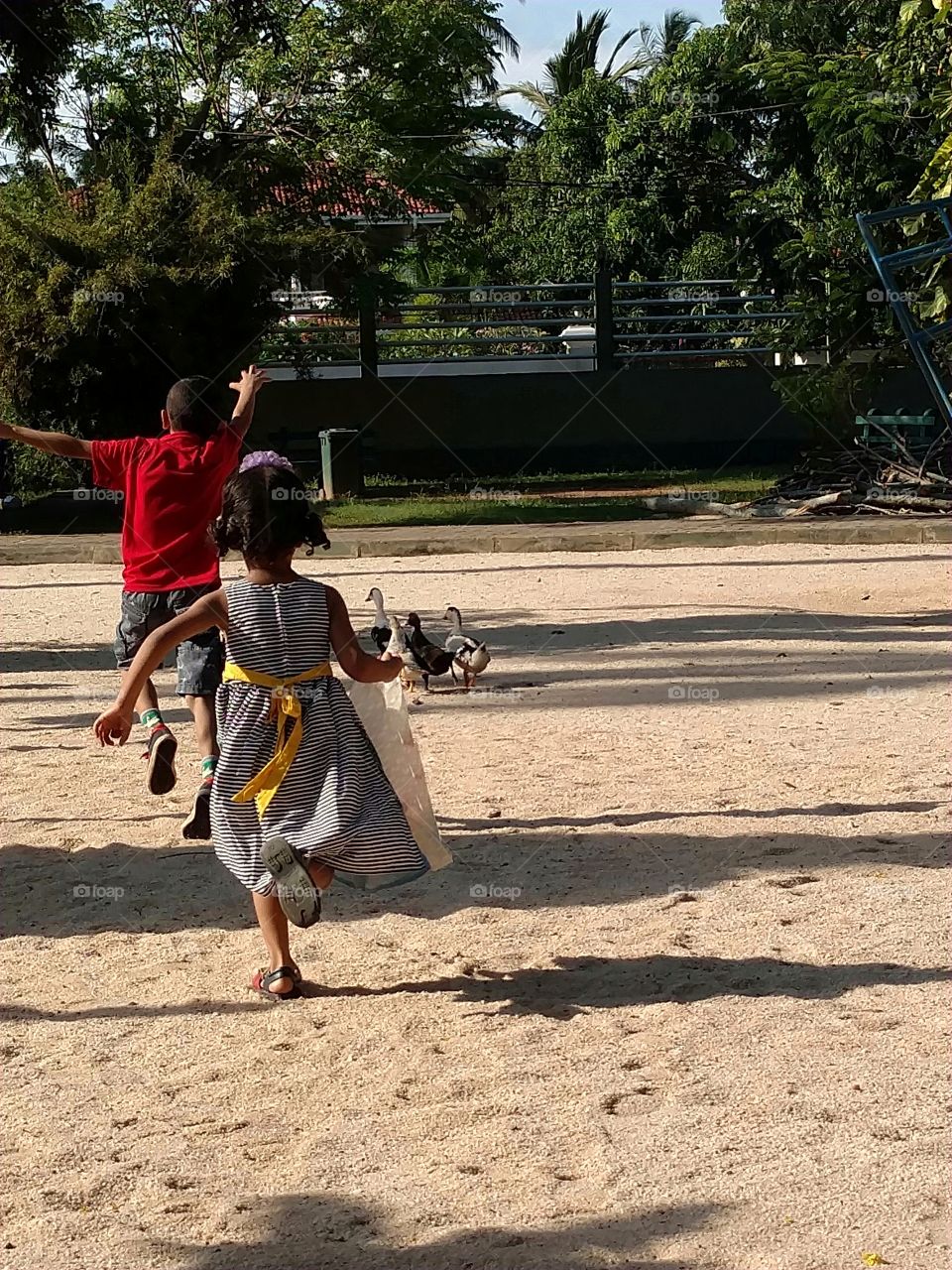 kids playing with the ducks