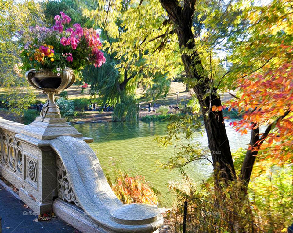 Central Park. view from a bridge in beautiful Central Park in New York City