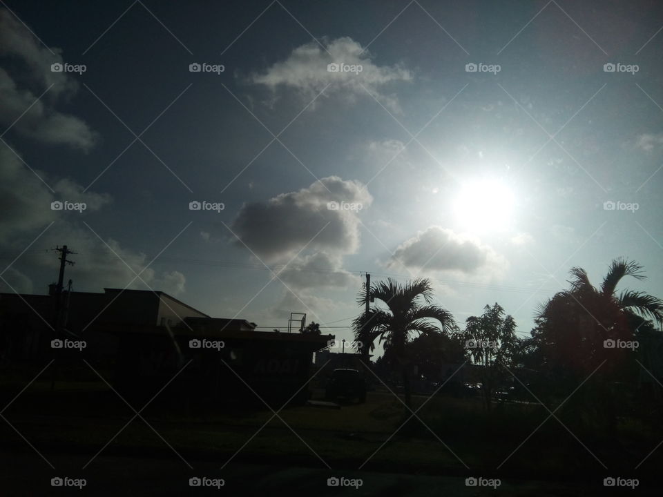 clouds tree, and sun