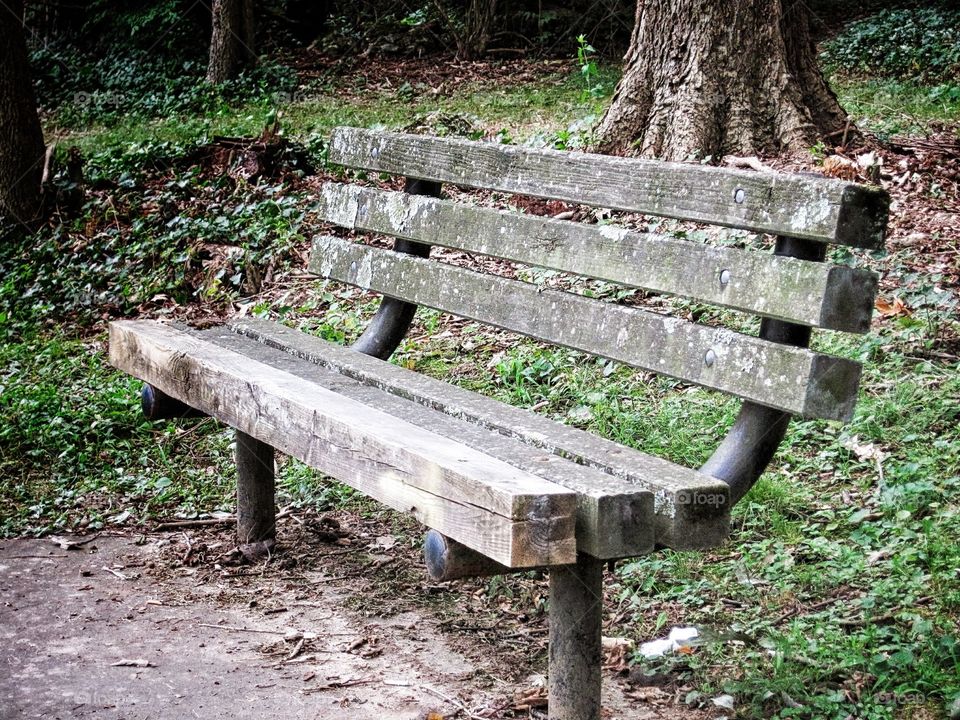 Park Bench