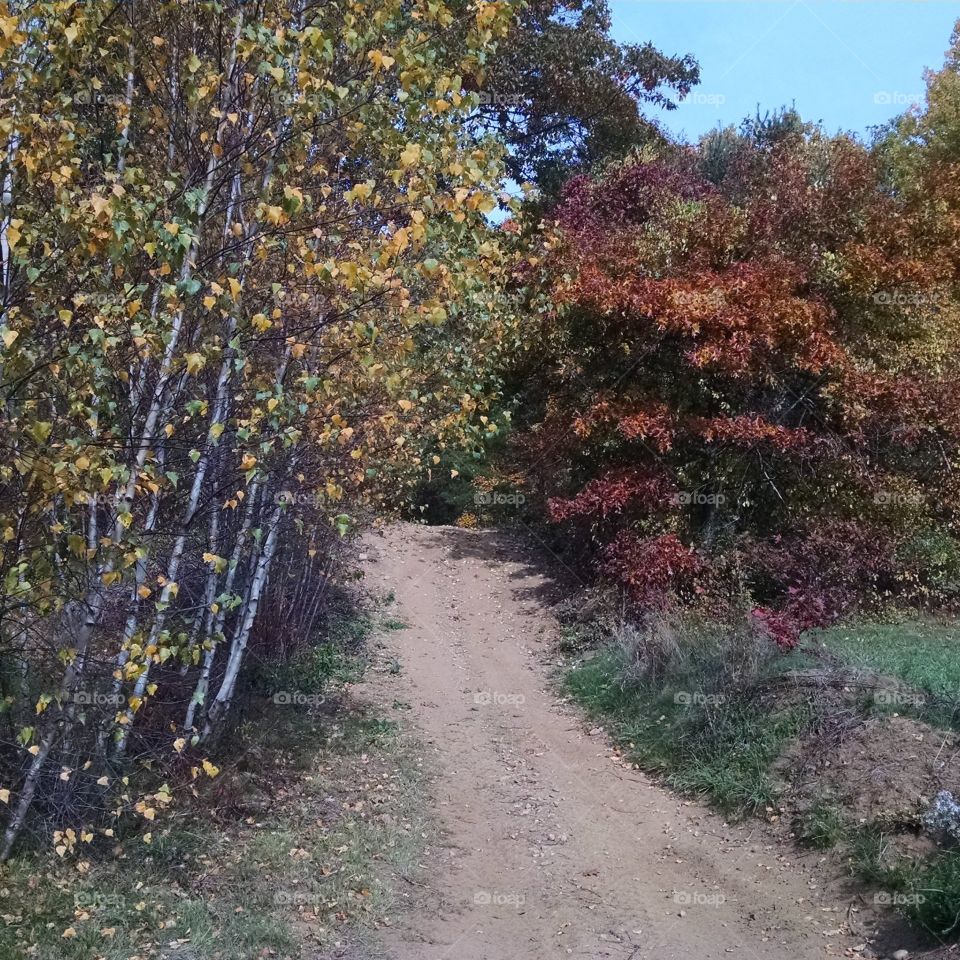 nature path